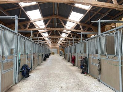 Le couloir central de l'écurie, bordé de boxes sous charpente bois